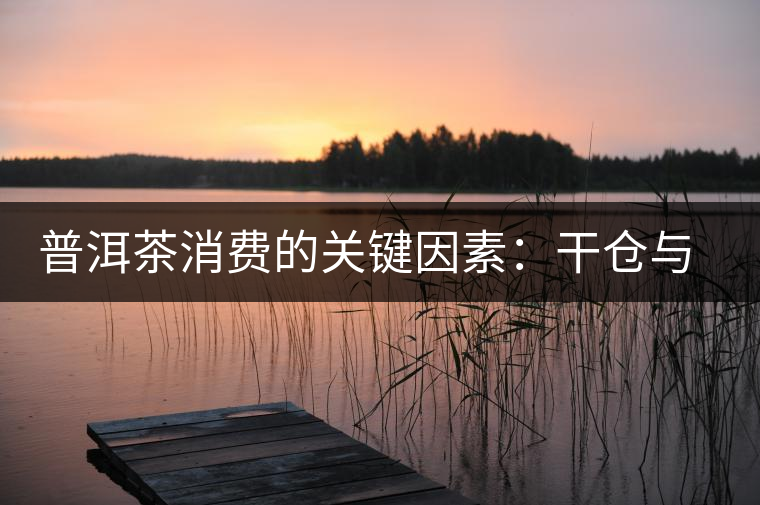 普洱茶消費的關鍵因素：干倉與濕倉