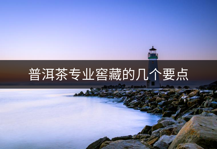 普洱茶專業(yè)窖藏的幾個要點