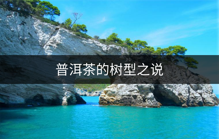 普洱茶的樹型之說(shuō) 普洱茶的樹型之說(shuō)