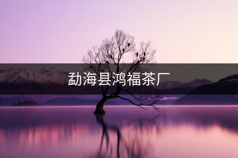 勐?？h鴻福茶廠