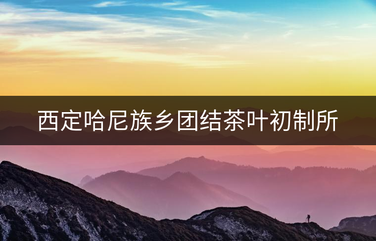 西定哈尼族鄉(xiāng)團(tuán)結(jié)茶葉初制所
