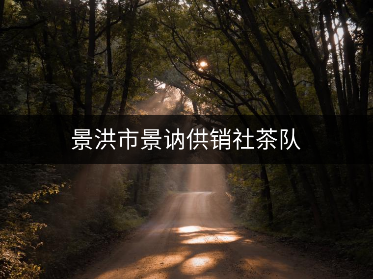 景洪市景訥供銷社茶隊