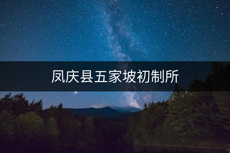 鳳慶縣五家坡初制所