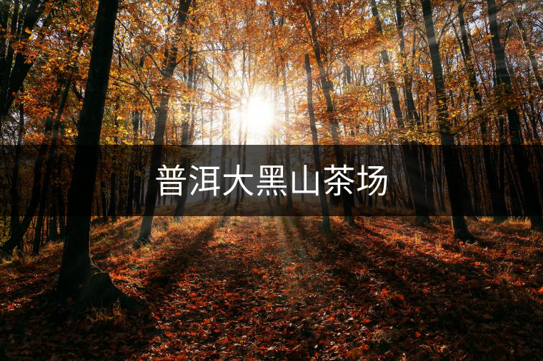 普洱大黑山茶場
