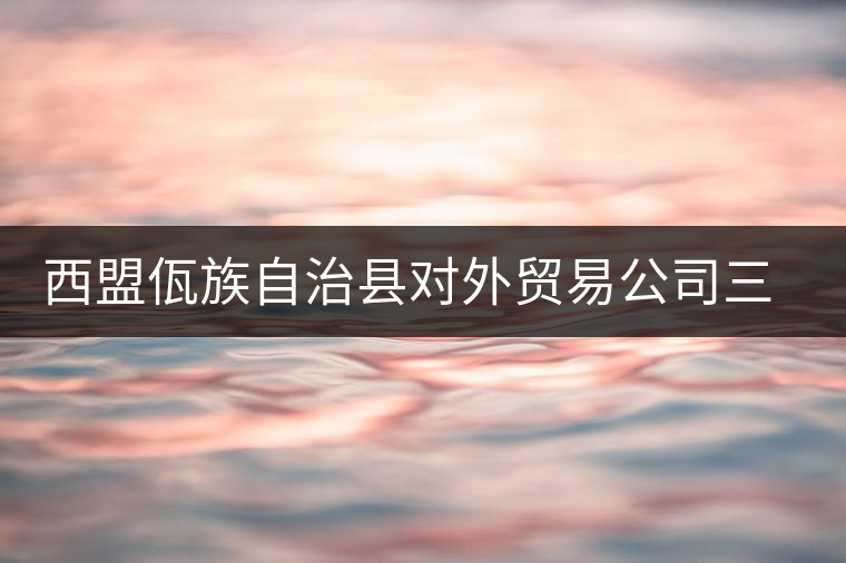 西盟佤族自治縣對外貿(mào)易公司三煙街茶廠