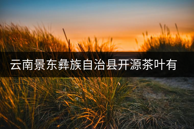云南景東彝族自治縣開源茶葉有限公司