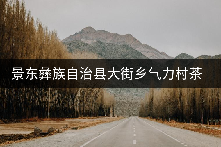 景東彝族自治縣大街鄉(xiāng)氣力村茶廠 景東彝族自治縣大街鄉(xiāng)氣力村茶廠