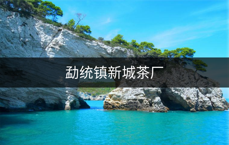 勐統(tǒng)鎮(zhèn)新城茶廠