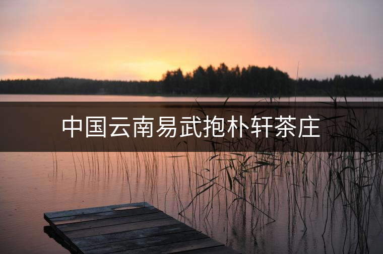 中國(guó)云南易武抱樸軒茶莊