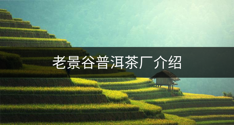 老景谷普洱茶廠介紹