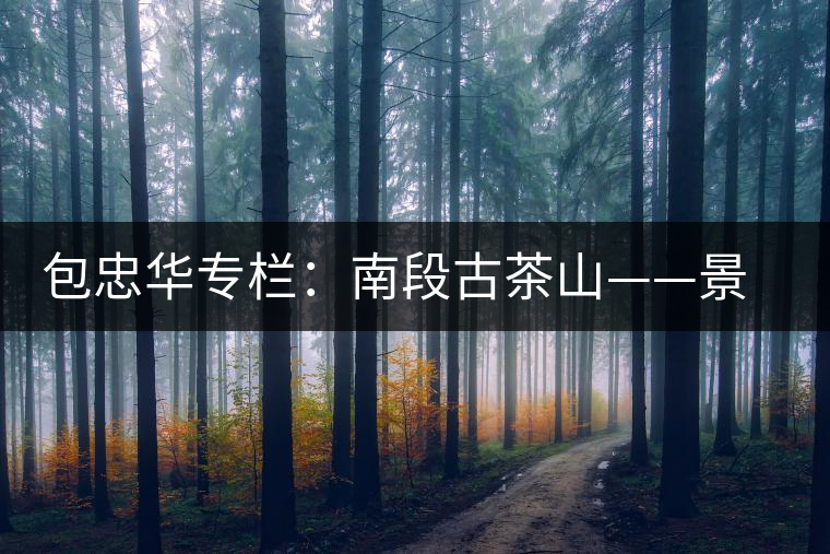 包忠華專(zhuān)欄:南段古茶山——景邁古茶山的姊妹山 包忠華專(zhuān)欄:南段古茶山——景邁古茶山的姊妹山