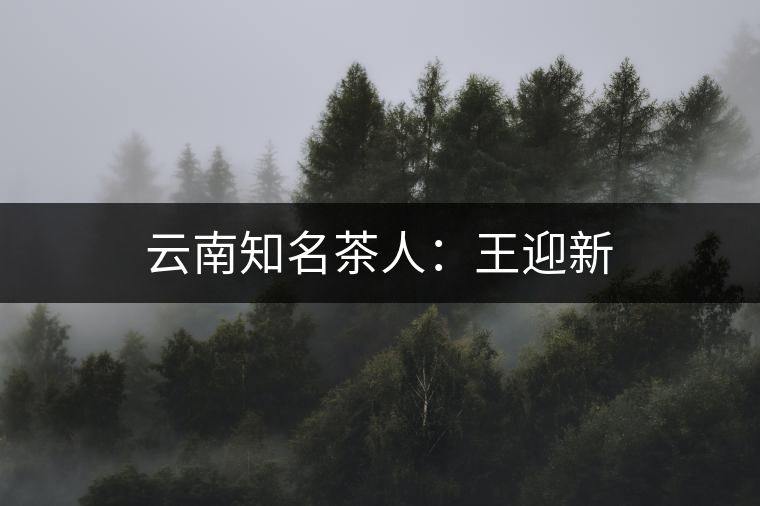 云南知名茶人:王迎新 云南知名茶人:王迎新