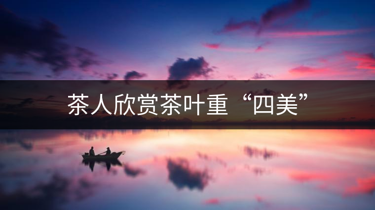 茶人欣賞茶葉重“四美”