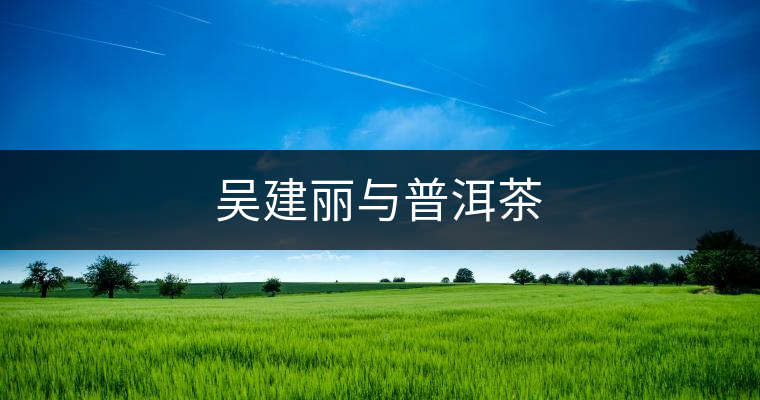 吳建麗與普洱茶