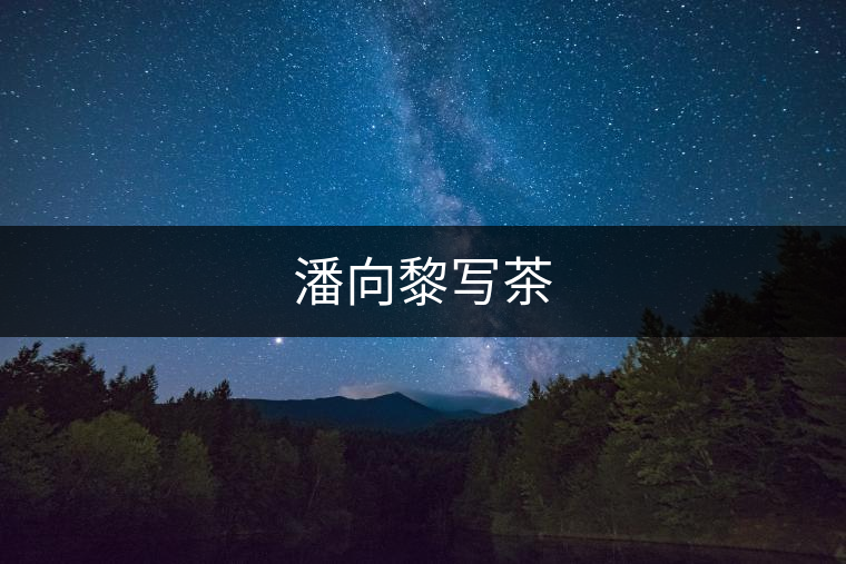 潘向黎寫茶