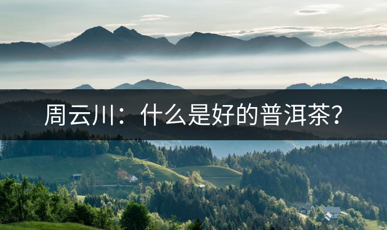周云川：什么是好的普洱茶？