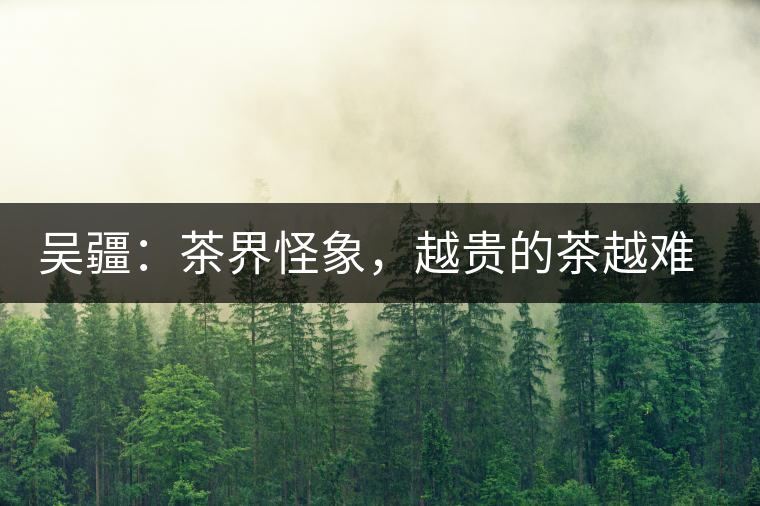 吳疆：茶界怪象，越貴的茶越難喝