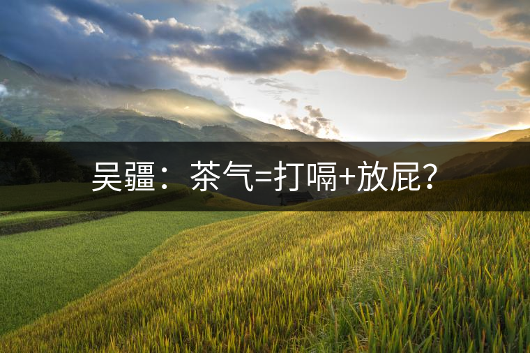 吳疆：茶氣=打嗝+放屁？
