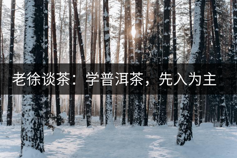 老徐談茶：學(xué)普洱茶，先入為主易被打臉，還得實(shí)踐出真知！