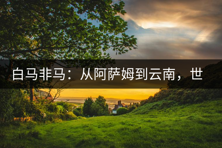 白馬非馬：從阿薩姆到云南，世界茶樹起源爭論的誤區(qū)