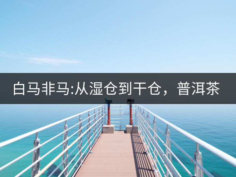 白馬非馬:從濕倉到干倉，普洱茶倉儲的進化史