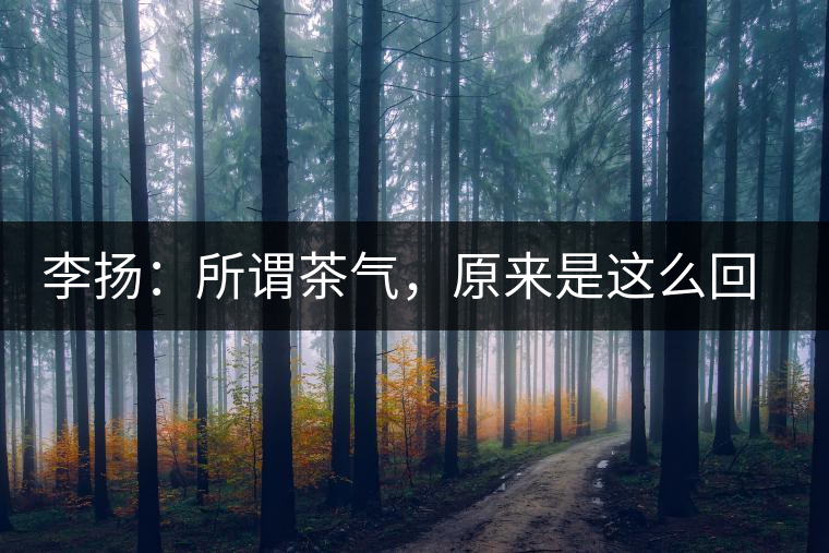 李揚：所謂茶氣，原來是這么回事