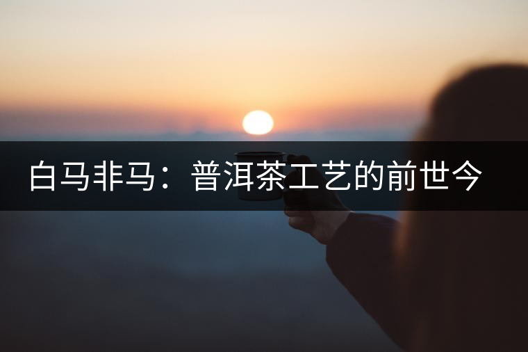白馬非馬：普洱茶工藝的前世今生，解答普洱茶屬于什么茶