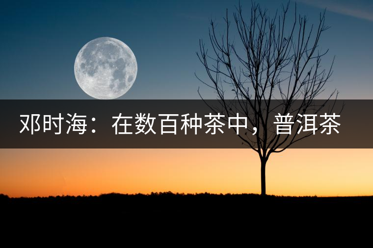 鄧時海：在數(shù)百種茶中，普洱茶最能代表我國歷史文化