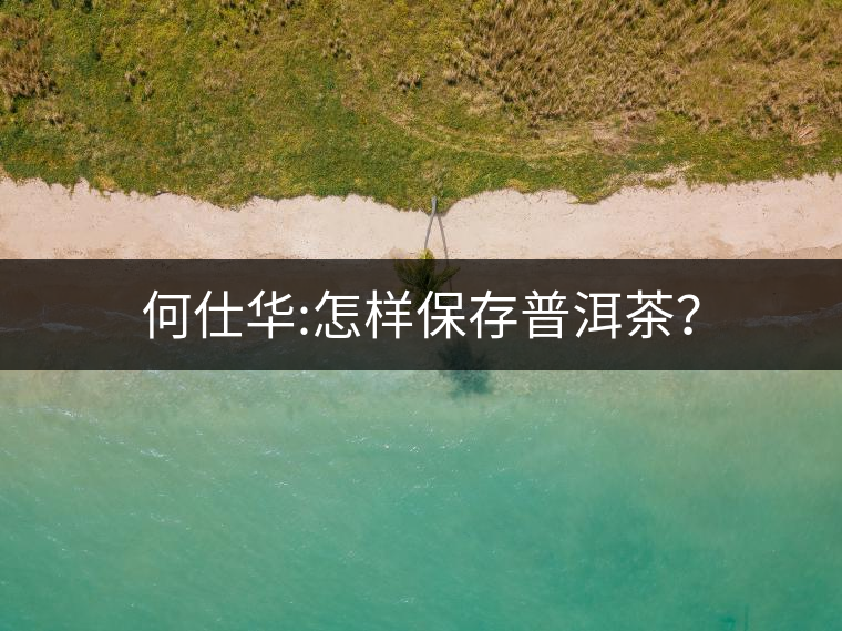 何仕華:怎樣保存普洱茶？