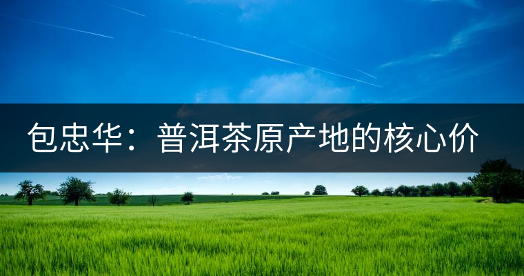 包忠華：普洱茶原產(chǎn)地的核心價(jià)值觀