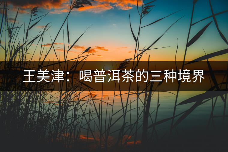 王美津：喝普洱茶的三種境界
