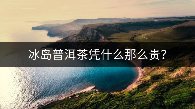 冰島普洱茶憑什么那么貴？