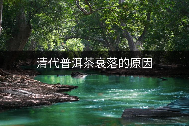清代普洱茶衰落的原因 清代普洱茶衰落的原因