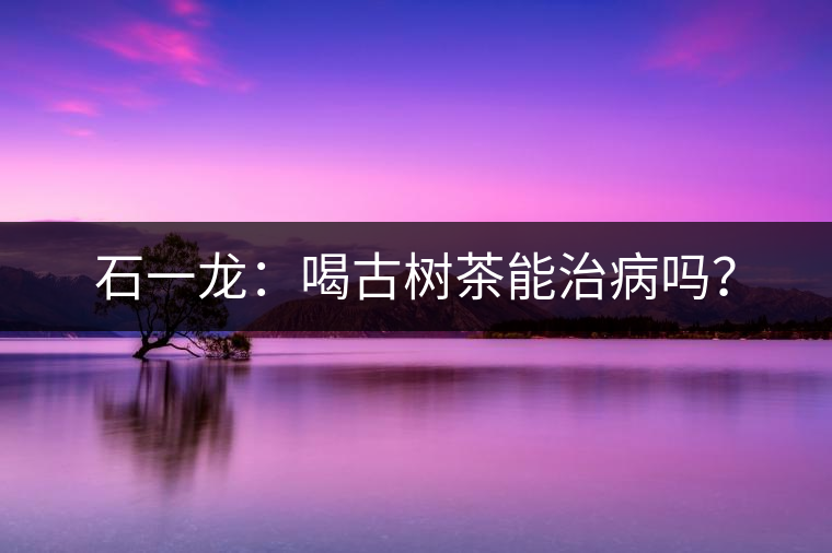 石一龍：喝古樹茶能治病嗎？