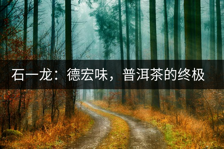 石一龍：德宏味，普洱茶的終極意境
