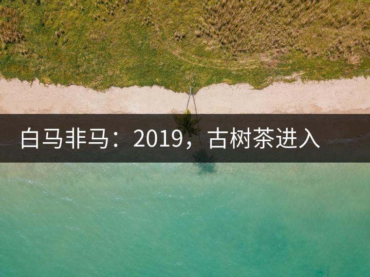 白馬非馬：2019，古樹茶進(jìn)入醇料時代