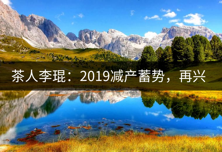 茶人李琨：2019減產蓄勢，再興普洱茶