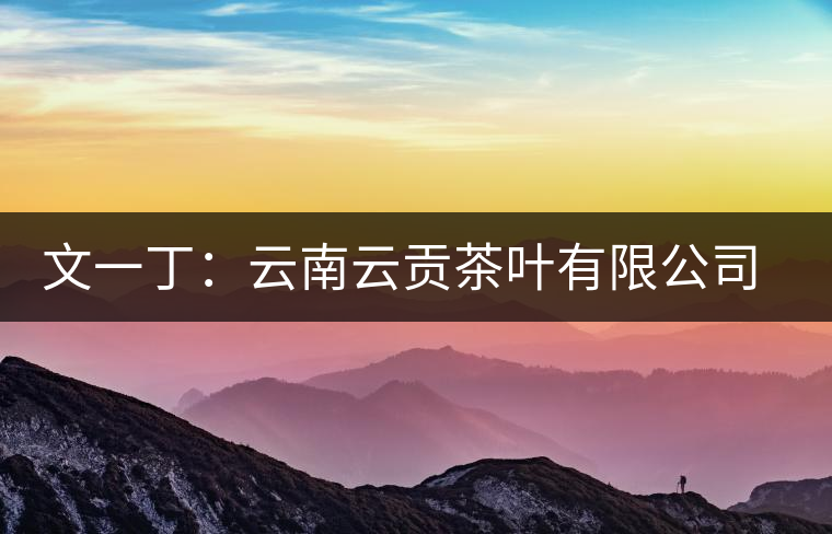 文一?。涸颇显曝暡枞~有限公司總經(jīng)理