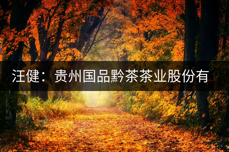 汪?。嘿F州國品黔茶茶業(yè)股份有限公司董事長