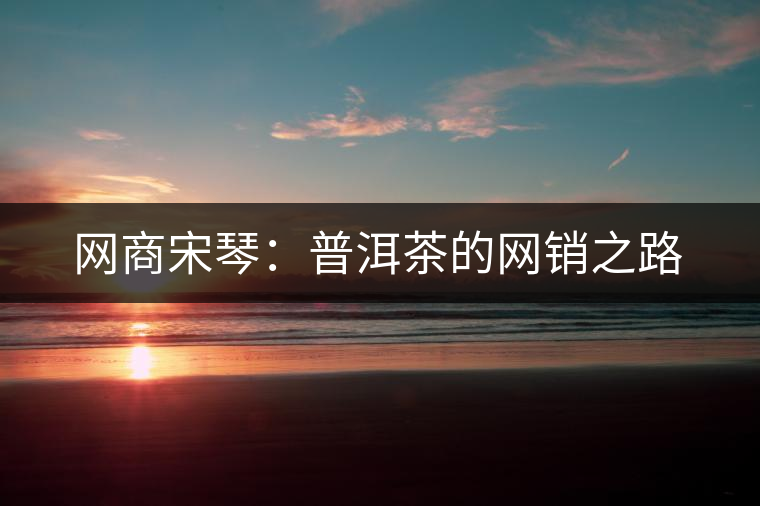網商宋琴：普洱茶的網銷之路
