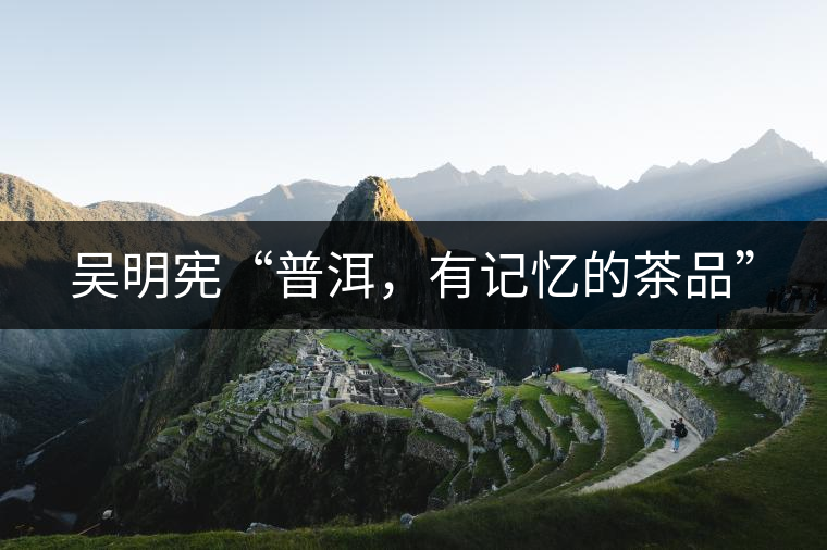 吳明憲“普洱，有記憶的茶品”