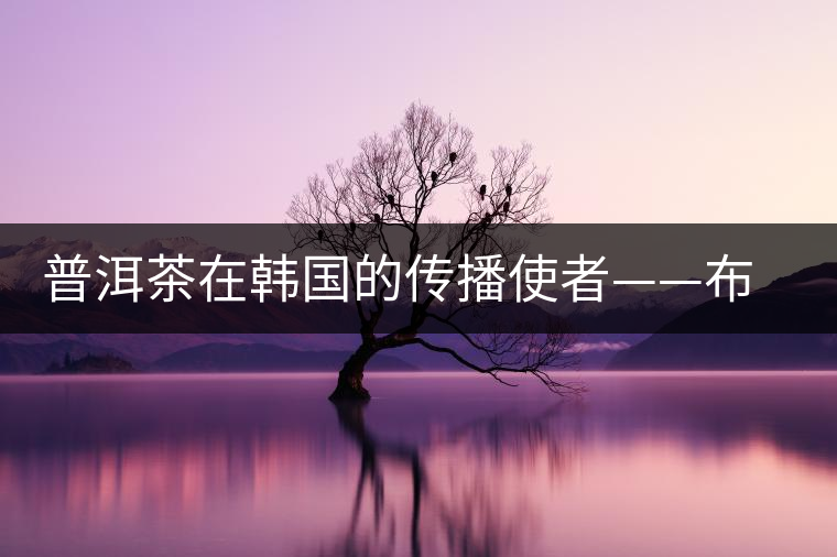 普洱茶在韓國的傳播使者——布朗株式會(huì)社