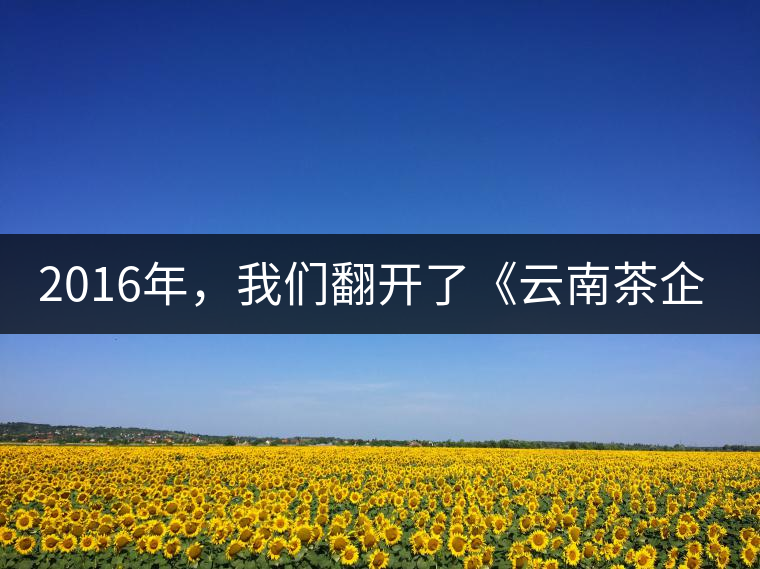 2016年，我們翻開了《云南茶企發(fā)展白皮書》