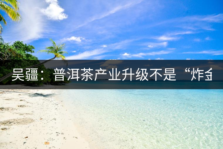 吳疆：普洱茶產(chǎn)業(yè)升級不是“炸金花”