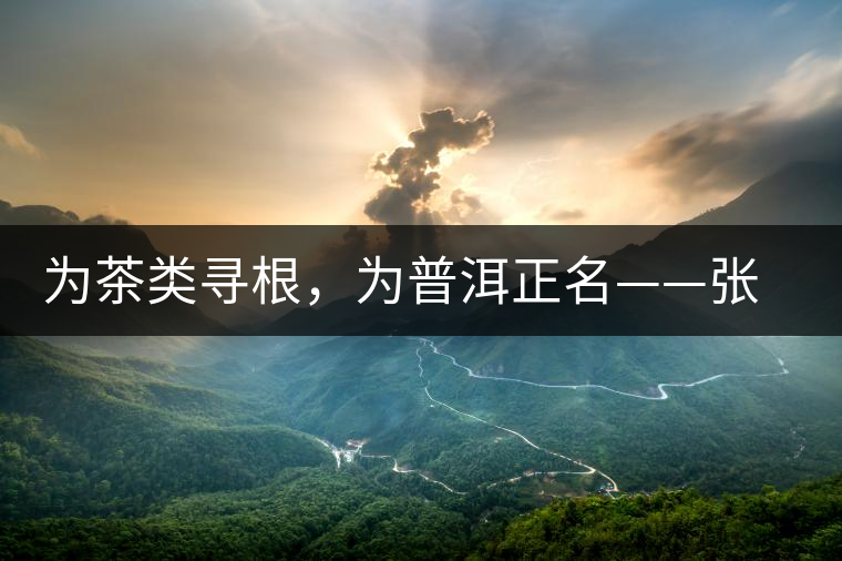 為茶類尋根，為普洱正名——張宏達(dá)的普洱茶研究