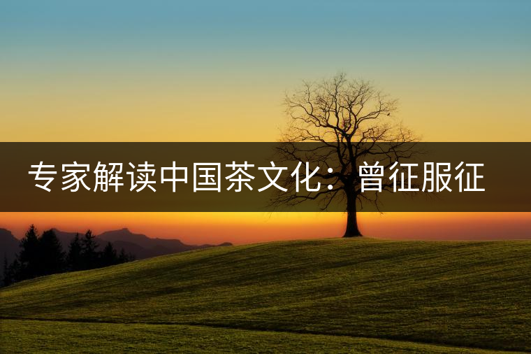 專家解讀中國(guó)茶文化:曾征服征服沙皇 專家解讀中國(guó)茶文化:曾征服征服沙皇