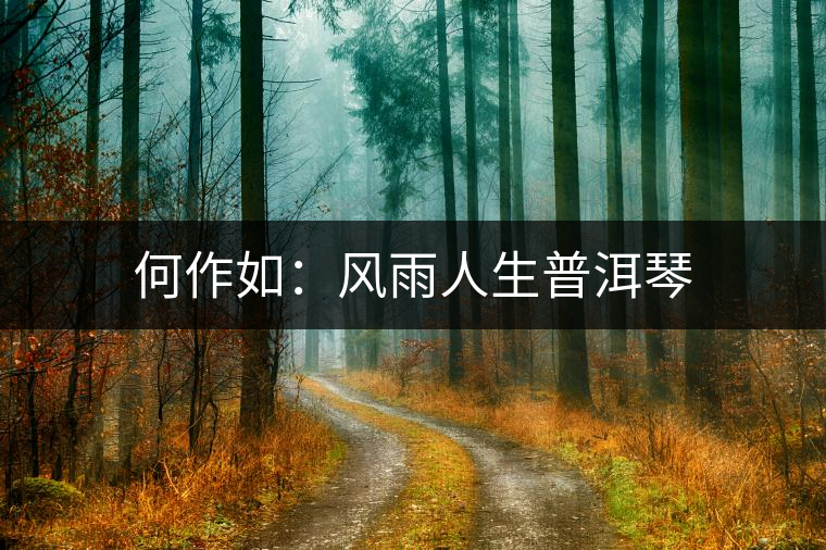 何作如：風(fēng)雨人生普洱琴