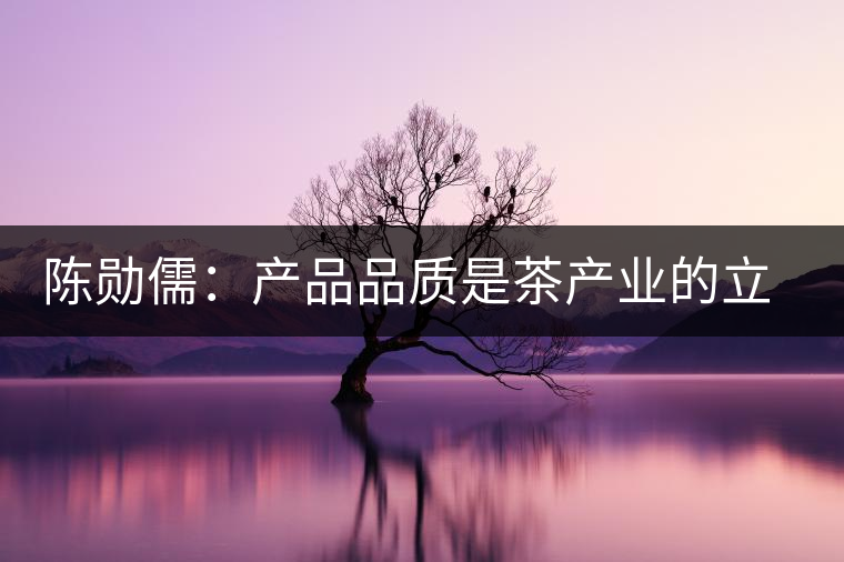 陳勛儒：產(chǎn)品品質(zhì)是茶產(chǎn)業(yè)的立足之本
