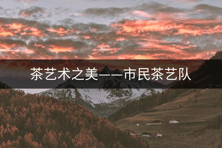 茶藝術(shù)之美——市民茶藝隊