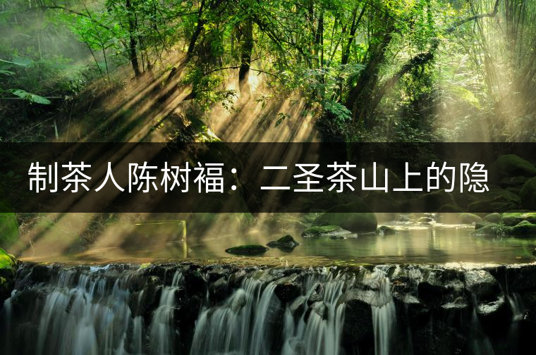 制茶人陳樹褔:二圣茶山上的隱居歲月 制茶人陳樹褔:二圣茶山上的隱居歲月